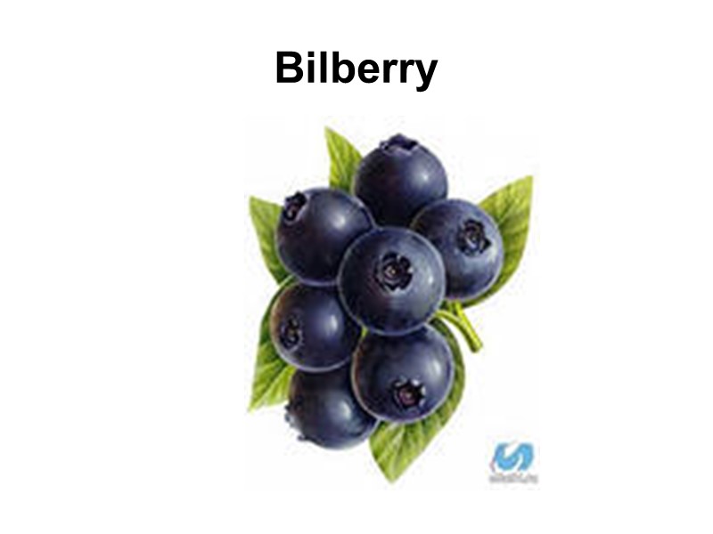 Bilberry